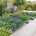Villa Nobilo Frühstückspension
