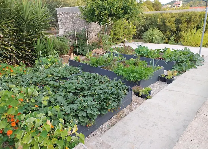 Villa Nobilo Bed & Breakfast